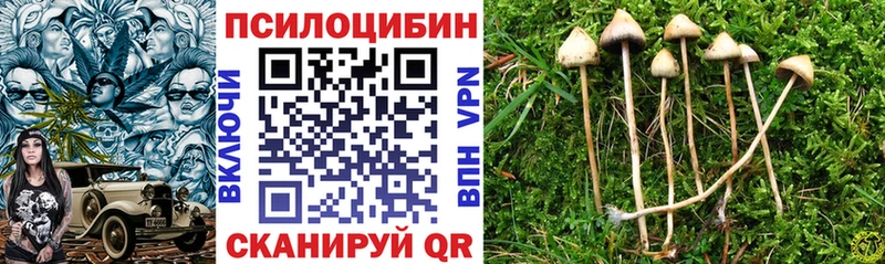 Псилоцибиновые грибы MAGIC MUSHROOMS  Ершов 